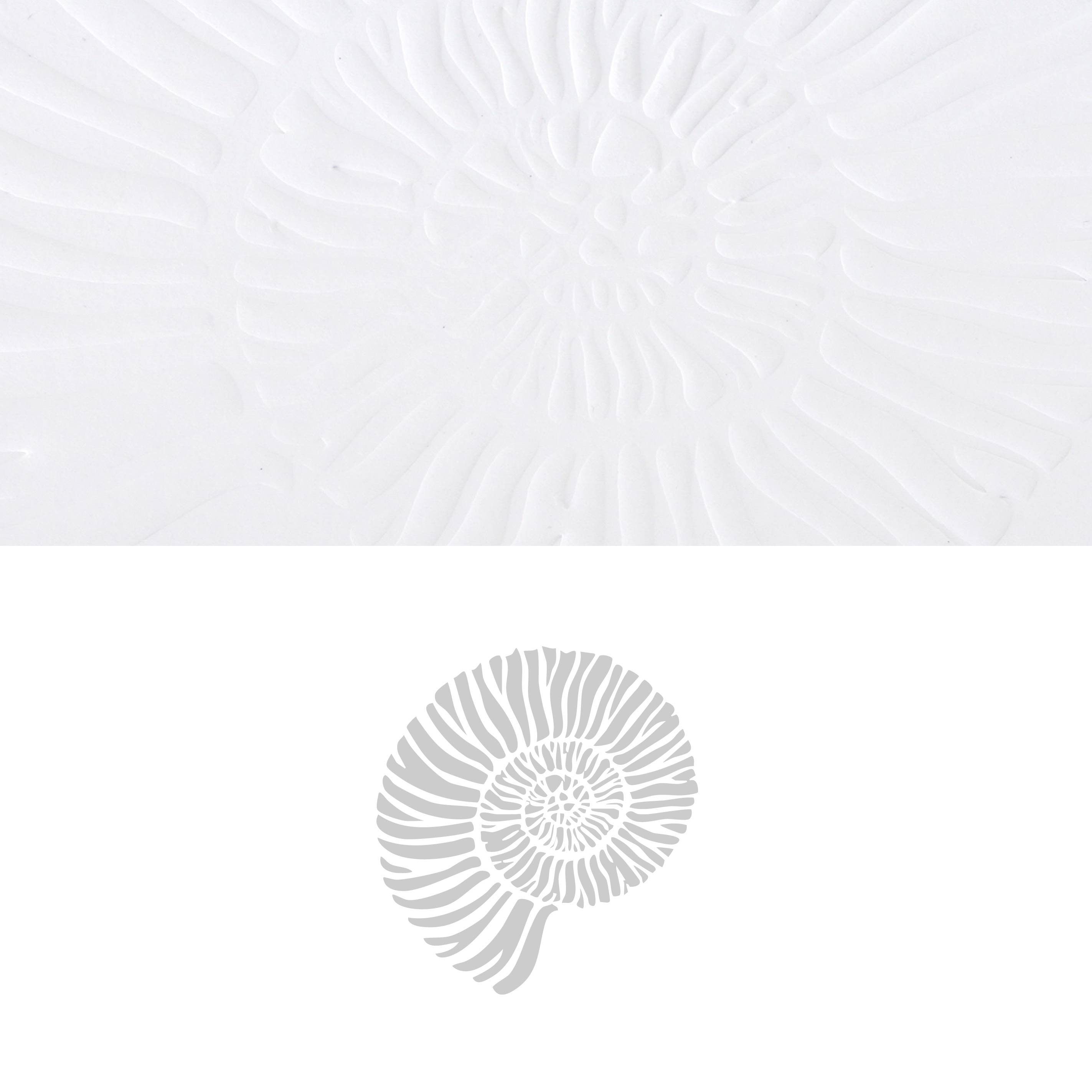 Cast Journal: Seashell