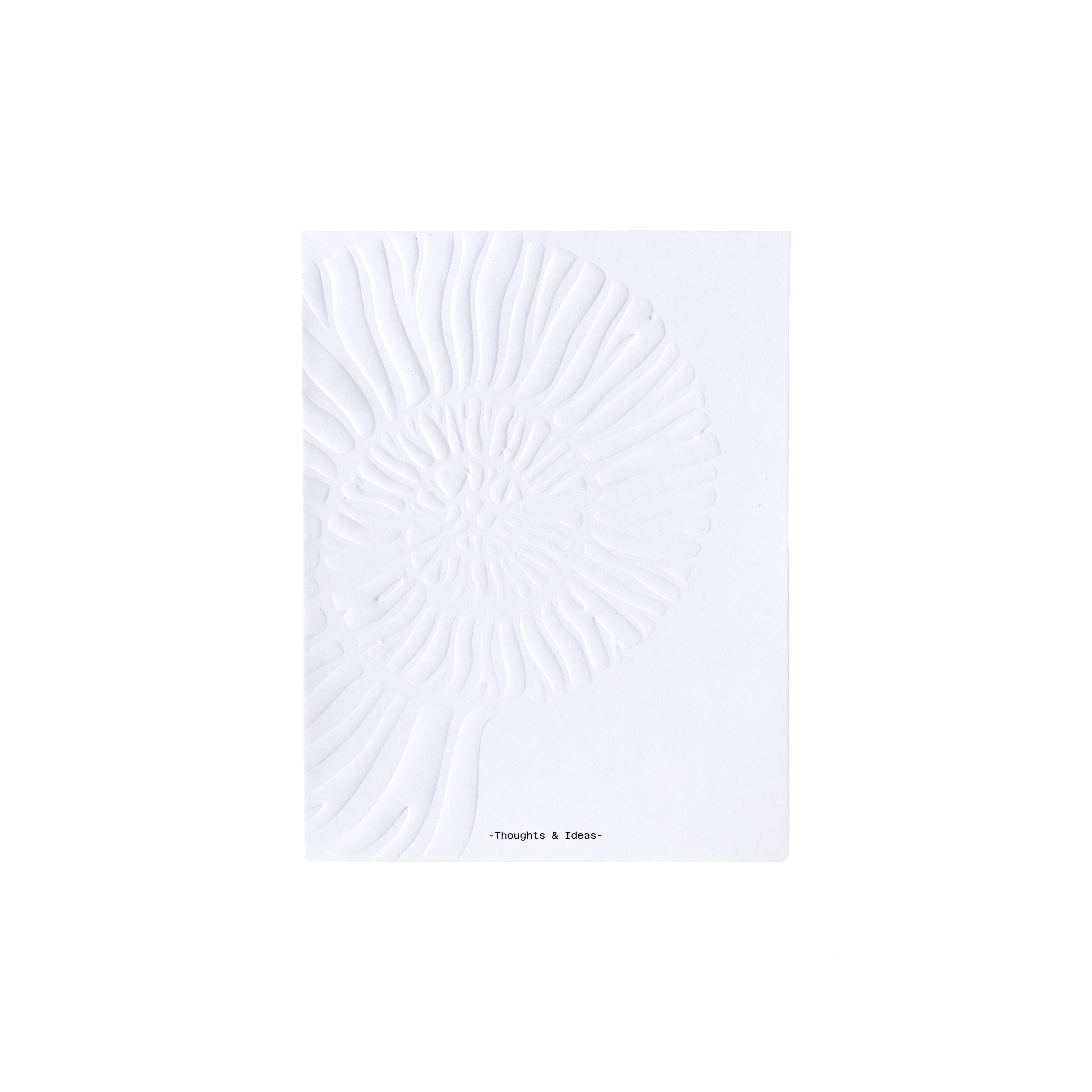 Cast Journal: Seashell