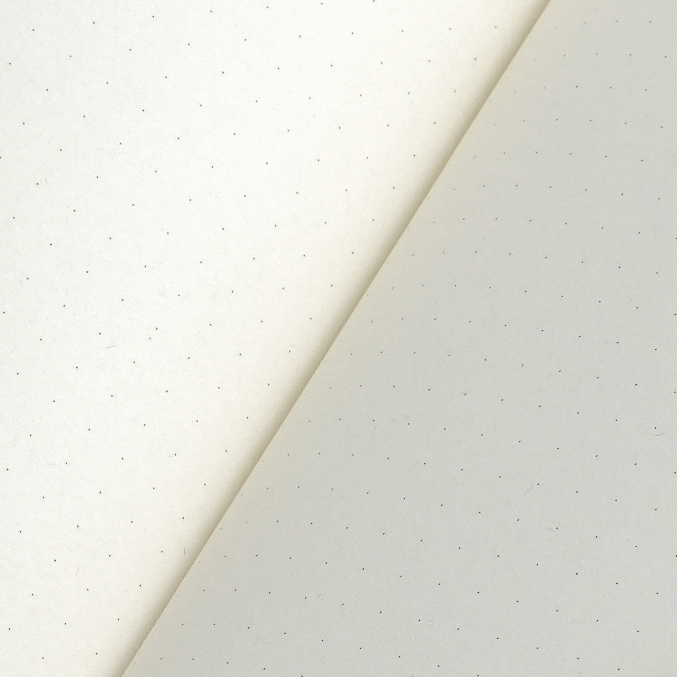 Leather Sleeve with Journals: Full-Size in Evergreen
