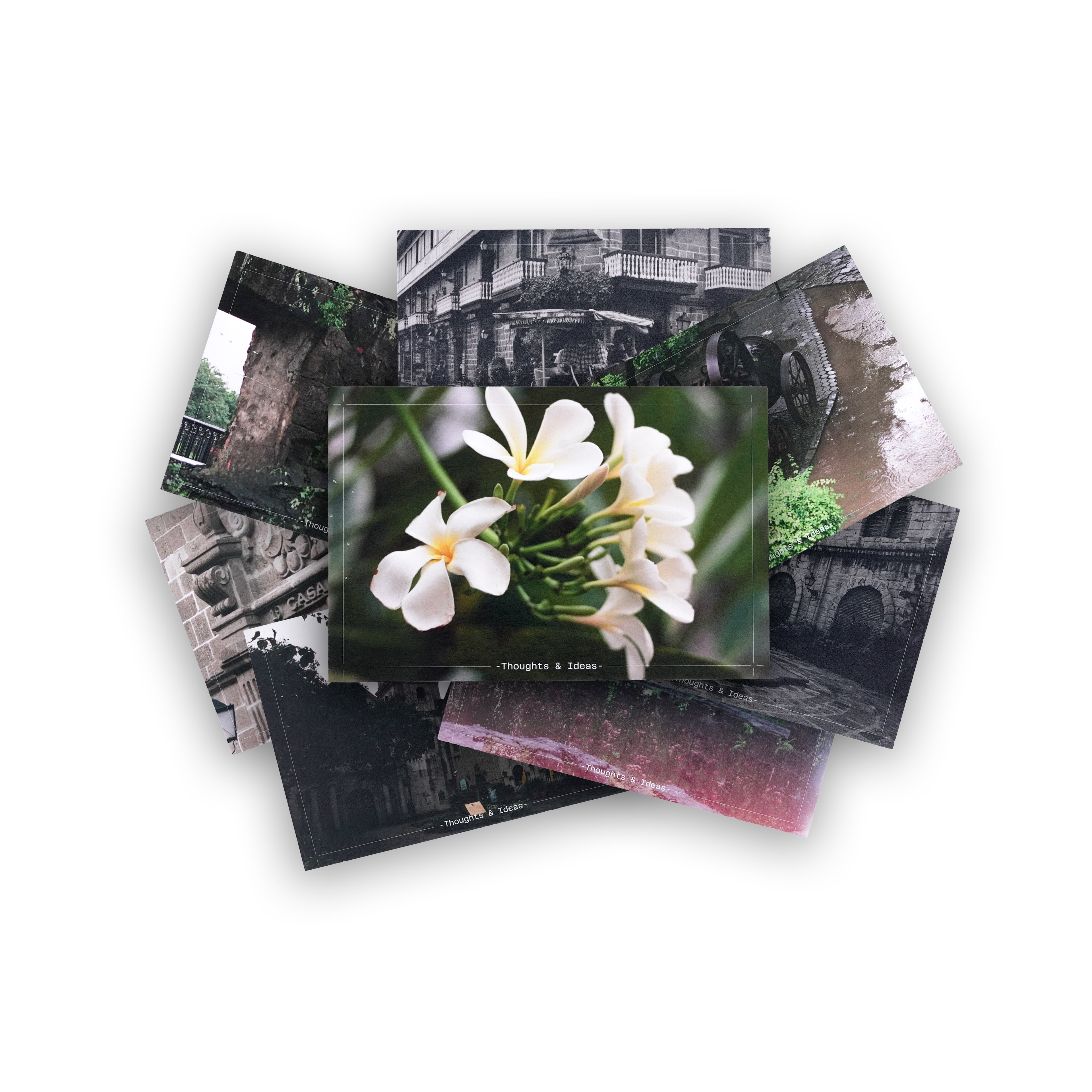 Bayan Postcards (Set of 4)