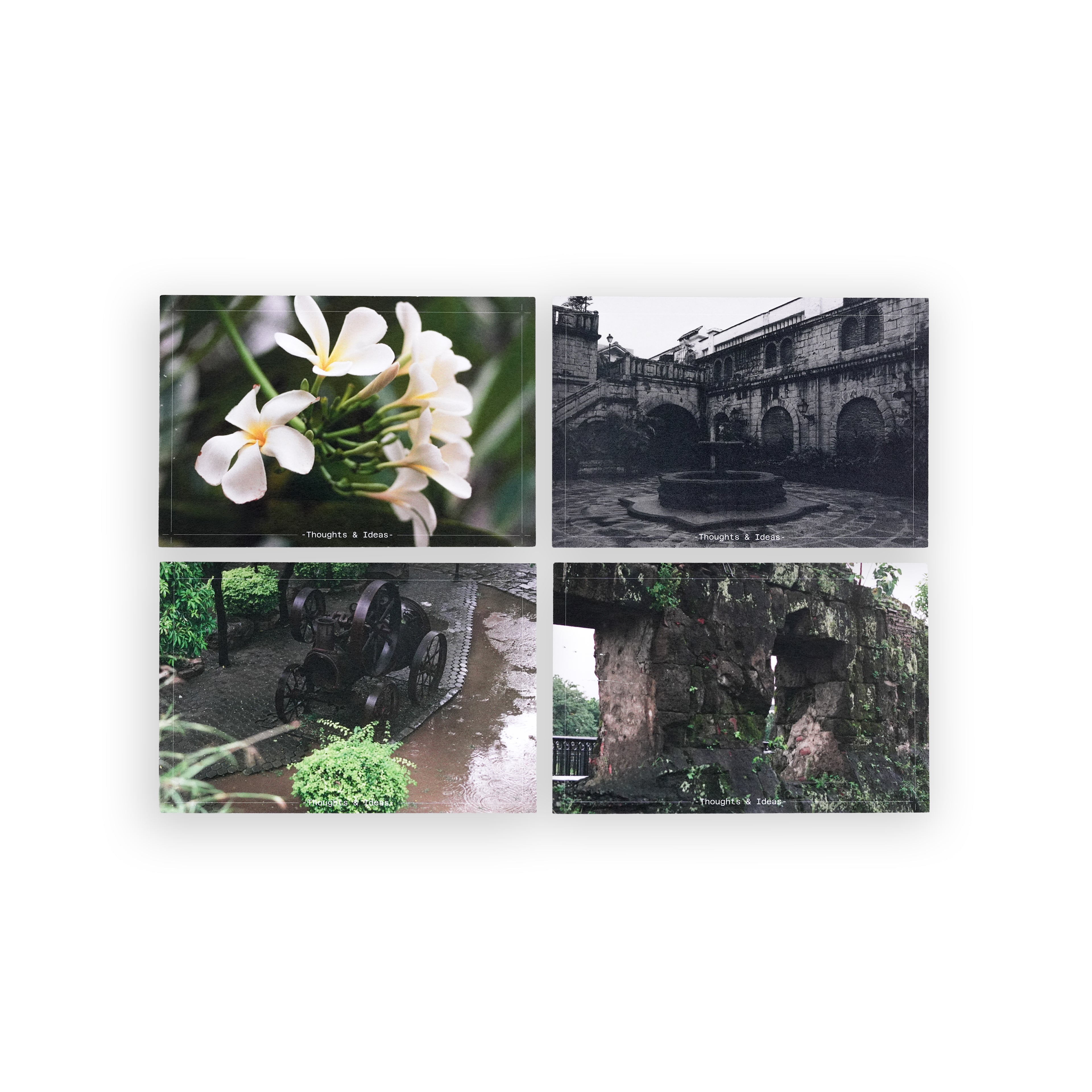 Bayan Postcards (Set of 4)