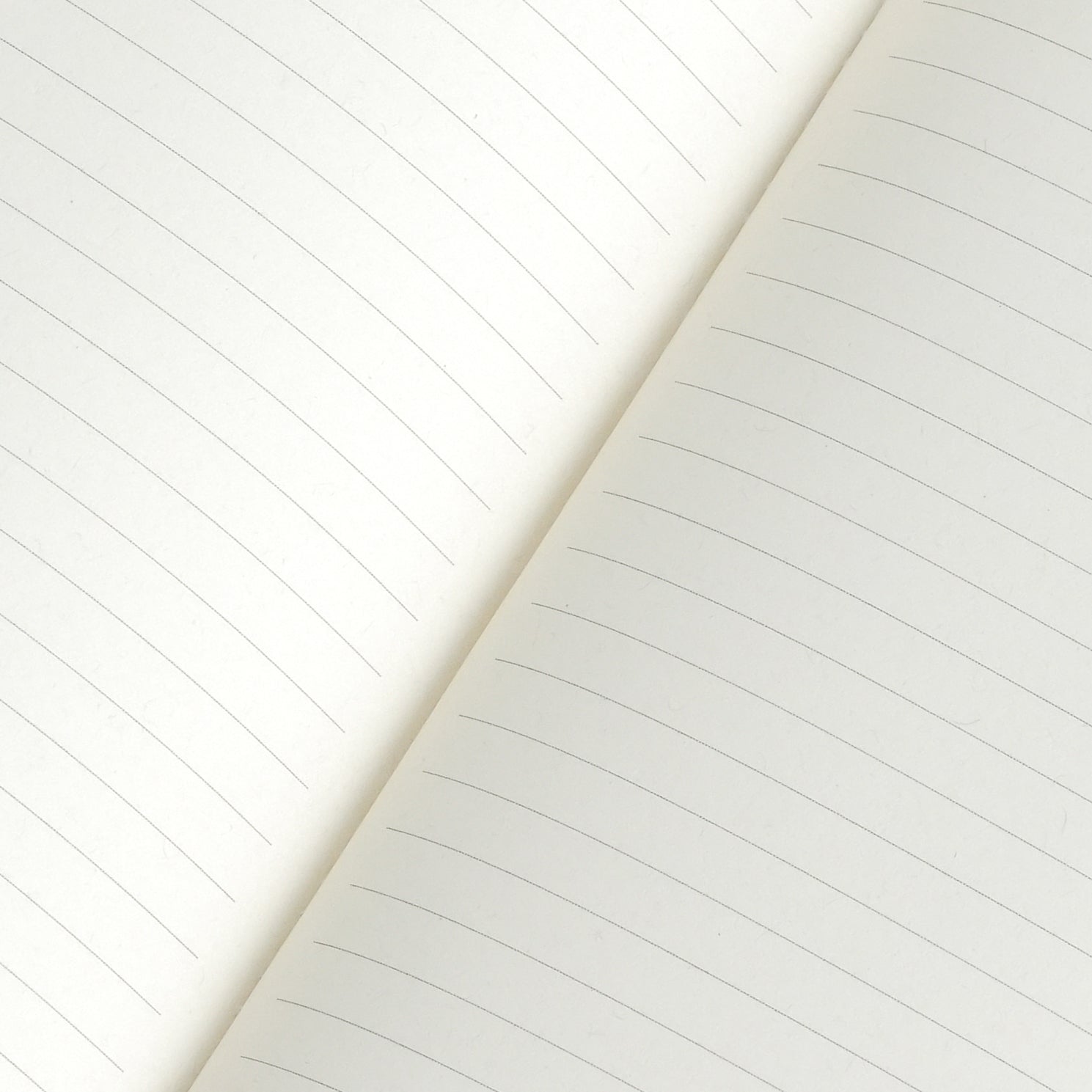 Leather Sleeve with Journals: Full-Size in Evergreen